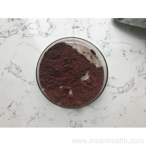 Natural Proanthocyanidins 95% Pine Bark Extract Powder